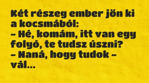 Vicc: Két részeg ember jön ki a kocsmából…