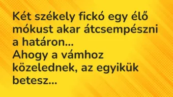 Vicc: Két székely fickó egy élő mókust akar átcsempészni a határon…