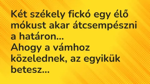 Vicc: Két székely fickó egy élő mókust akar átcsempészni a határon…