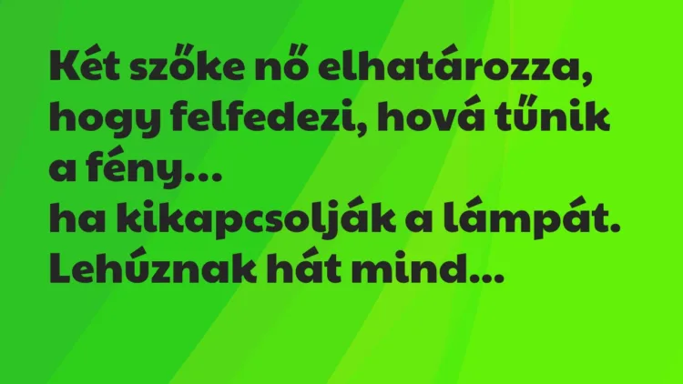 Vicc: Két szőke nő elhatározza, hogy felfedezi, hová tűnik a fény… Vicc: Két szőke nő elhatározza, hogy felfedezi, hová tűnik a fény…