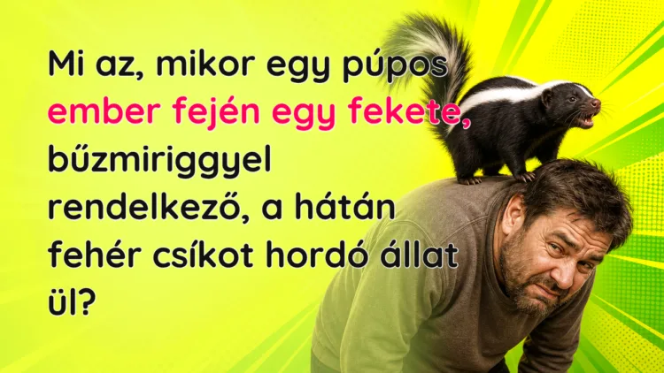 Vicc: Mi az, mikor egy púpos ember fején egy fekete, bűzmiriggyel rendelkező... Mi az, mikor egy púpos ember fején egy fekete, bűzmiriggyel rendelkező, a hátán fehér csíkot hordó állat ül?