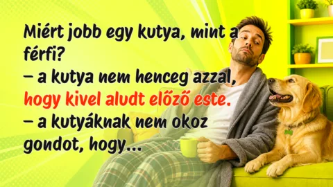 Miért jobb egy kutya, mint a férfi? – a kutya nem henceg azzal, hogy kivel aludt előző este. – a kutyáknak nem okoz gondot, hogy...