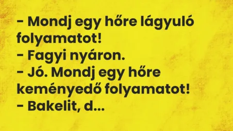 Vicc: Mondj egy hőre lágyuló folyamatot…