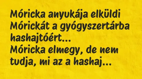Vicc: Móricka anyukája elküldi Mórickát a gyógyszertárba hashajtóért…