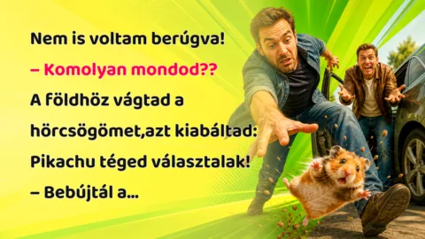 Nem is voltam berúgva! – Komolyan mondod?? A földhöz vágtad a hörcsögömet,azt kiabáltad: Pikachu téged választalak! – Bebújtál a...