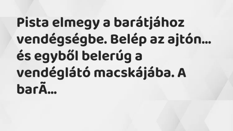 Vicc: Pista elmegy a barátjához vendégségbe. Belép az ajtón, és egyből… Vicc: Pista elmegy a barátjához vendégségbe. Belép az ajtón, és egyből…