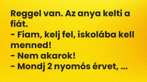 Vicc: Reggel van. Az anya kelti a fiát…