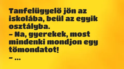 Vicc: Tanfelügyelő jön az iskolába, beül az egyik osztályba…