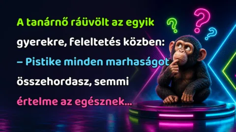 Viccek: A tanárnő ráüvölt az egyik gyerekre, feleltetés közben... A tanárnő ráüvölt az egyik gyerekre, feleltetés közben: – Pistike minden marhaságot összehordasz, semmi értelme az egésznek...