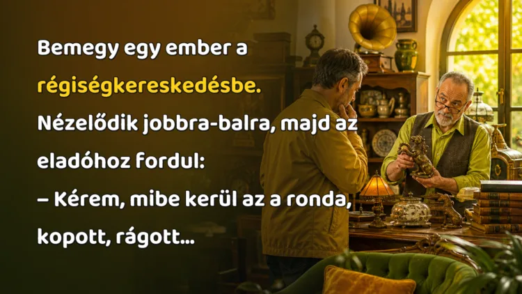 Viccek: Bemegy egy ember a régiségkereskedésbe. Nézelődik jobbra-balra... Bemegy egy ember a régiségkereskedésbe. Nézelődik jobbra-balra, majd az eladóhoz fordul: – Kérem, mibe kerül az a ronda, kopott, rágott...