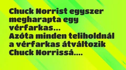 Viccek: Chuck Norrist egyszer megharapta egy vérfarkas. Azóta minden…