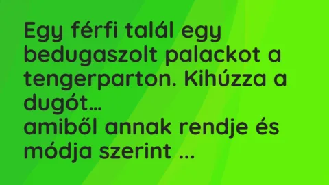 Viccek: Egy férfi talál egy bedugaszolt palackot a tengerparton…