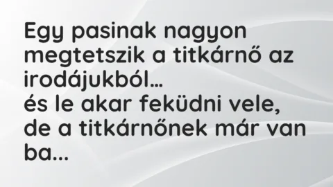 Viccek: Egy pasinak nagyon megtetszik a titkárnő az irodájukból…