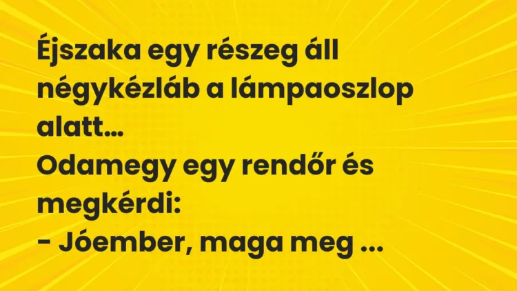 Viccek: Éjszaka egy részeg áll négykézláb a lámpaoszlop alatt… Viccek: Éjszaka egy részeg áll négykézláb a lámpaoszlop alatt…