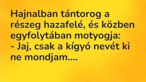Viccek: Hajnalban tántorog a részeg hazafelé, és közben egyfolytában motyogja…