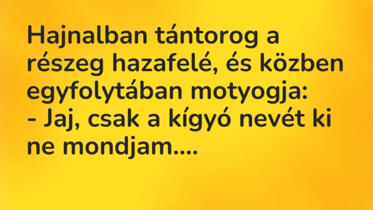 Viccek: Hajnalban tántorog a részeg hazafelé, és közben egyfolytában motyogja… Viccek: Hajnalban tántorog a részeg hazafelé, és közben egyfolytában motyogja…