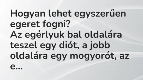 Viccek: Hogyan lehet egyszerűen egeret fogni?