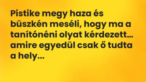 Viccek: Pistike megy haza és büszkén meséli, hogy ma a tanítónéni olyat…