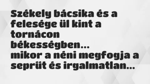 Viccek: Székely bácsika és a felesége ül kint a tornácon békességben…