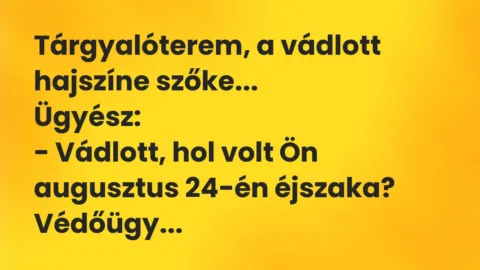 Viccek: Tárgyalóterem, a vádlott hajszíne szőke…
