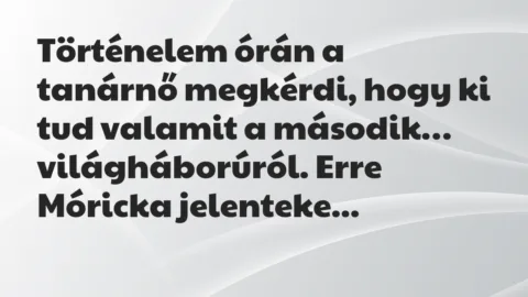 Viccek: Történelem órán a tanárnő megkérdi, hogy ki tud valamit a második…